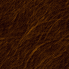  copperback (100x100, 7Kb)