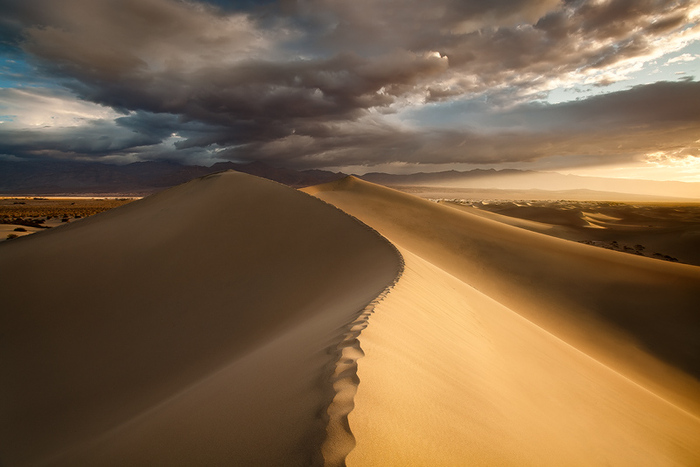 california_mesquite_dunes_07 (700x467, 125Kb)