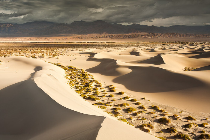 california_mesquite_dunes_23 (700x467, 124Kb)