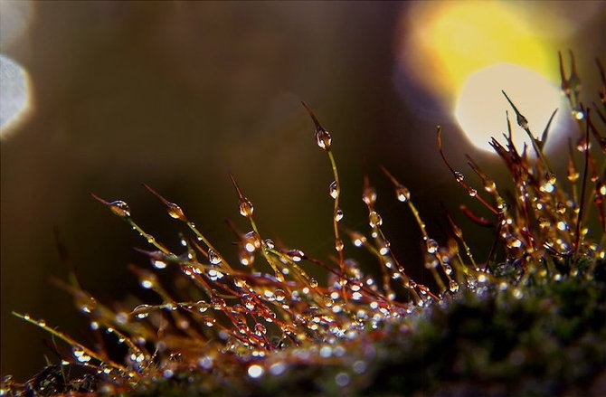 big_5c71a22396ed46cb509380f995a78ae024 (670x439, 158Kb)
