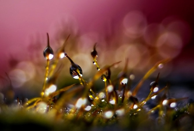 big_5c71a22396ed46cb509380f995a78ae027 (670x454, 124Kb)