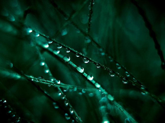 big_5c71a22396ed46cb509380f995a78ae029 (670x502, 153Kb)