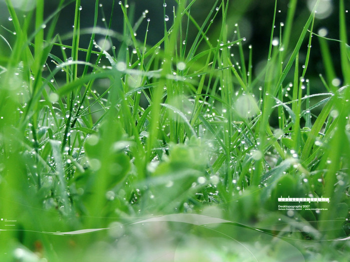 Nature_Seasons_Spring__006072_ (700x525, 137Kb)