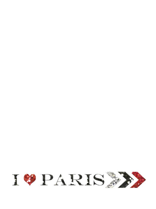Franny Bruissements d'une rencontre à Paris Element 11 (522x700, 37Kb)