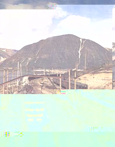 1185758403_21 (393x500, 45Kb)