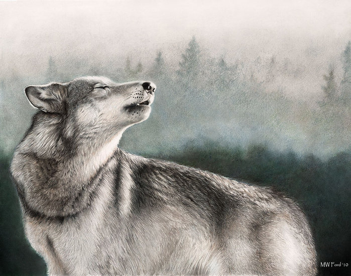 Wolf_by_schmoopy (700x549, 108Kb)