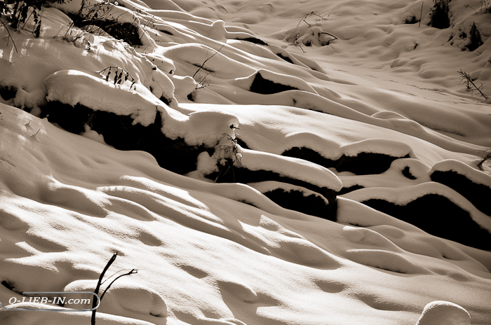 DSC_0166 (700x464, 335Kb)