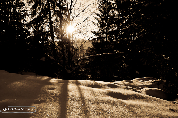 DSC_0220 (700x464, 440Kb)