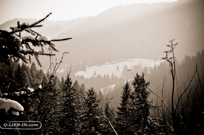 DSC_0237 (700x464, 330Kb)