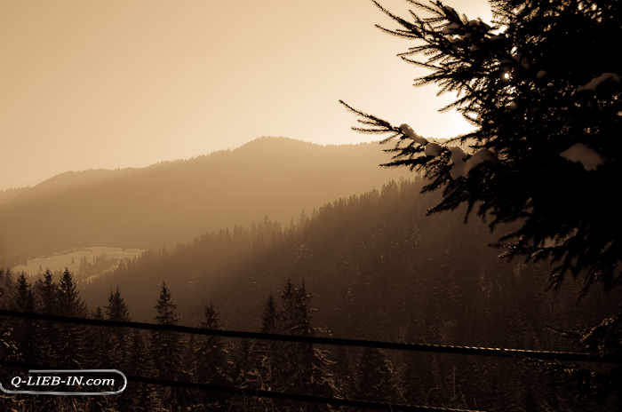 DSC_0256 (700x464, 269Kb)