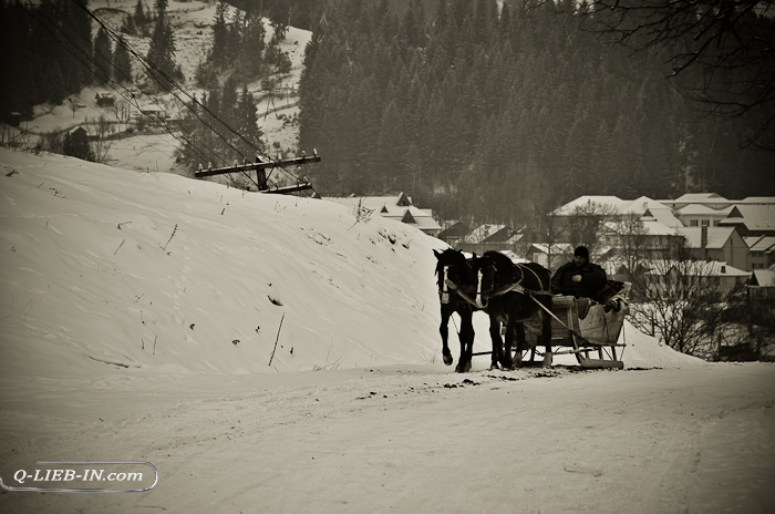 DSC_0448 (700x464, 259Kb)