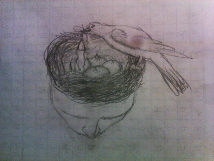 IMAG0439 (700x527, 88Kb)