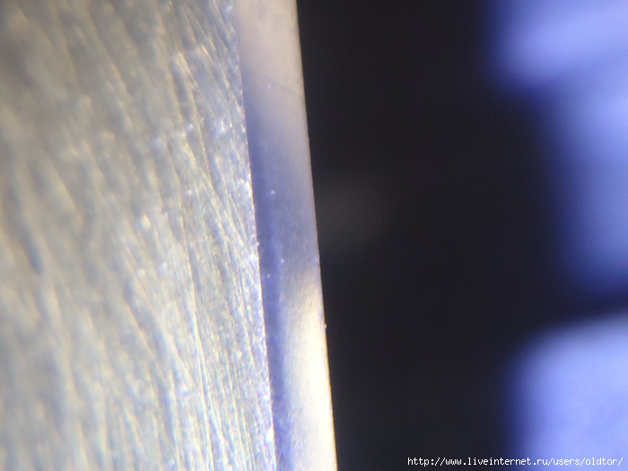 DSC04503 (700x525, 180Kb)