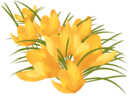 royalty-free-stock-pictures-yellow-crocus-green-yellow-pixmac-75616929 (128x96, 6Kb)