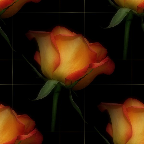 ATouchofTangerine (600x600, 41Kb)