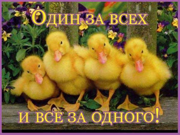 3833204_4380 (600x452, 41Kb)