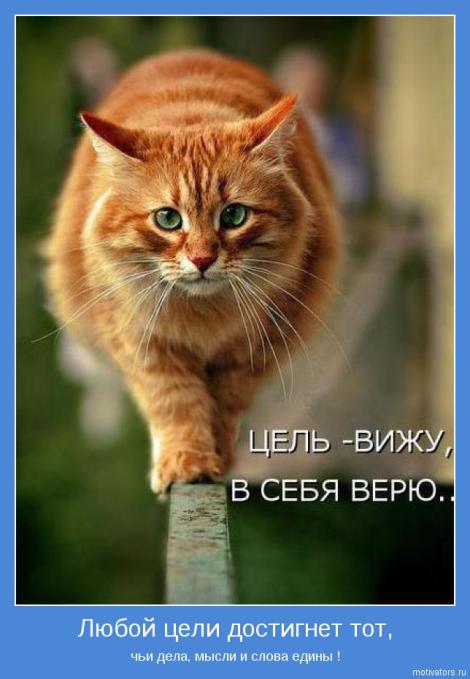81852697_motivauE (470x679, 40Kb)