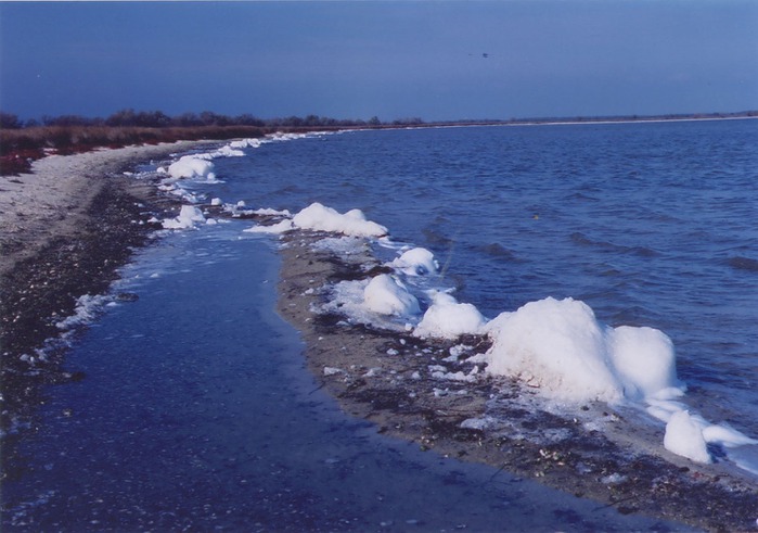 Тендровская коса в черном море. Тендровская коса. Тендровская и Кинбурнская коса. Днепровский залив коса.