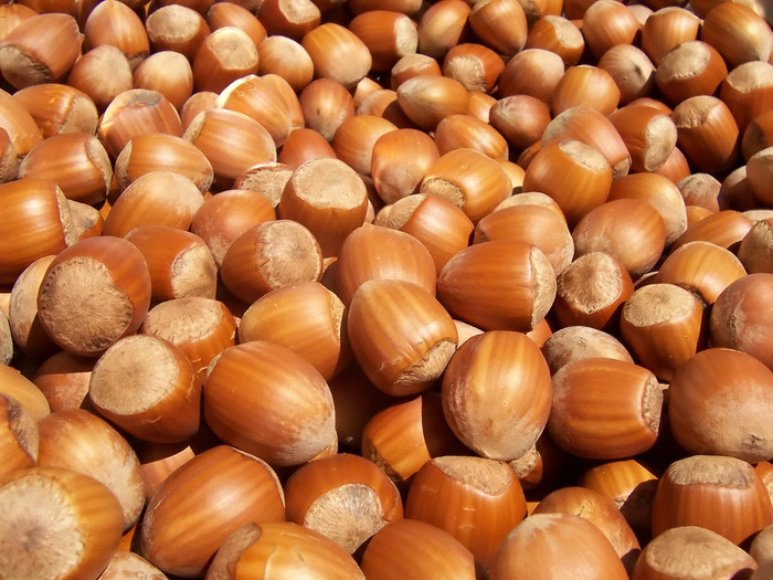 Hazelnuts (700x525, 145Kb)