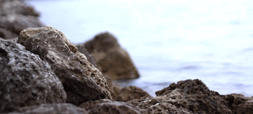 1330550033_77671091_large_tumblr_lnbpt2i4ZQ1qc66bjo1_500 (500x225, 495Kb)