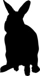  CC4493 (347x650, 15Kb)