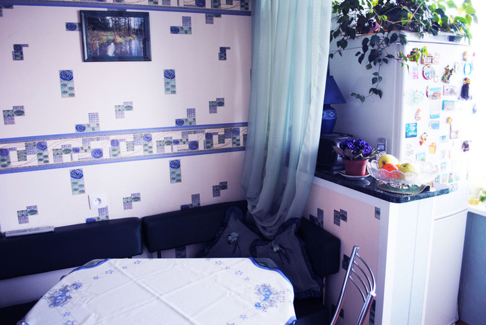 DSC_1028 (700x468, 116Kb)