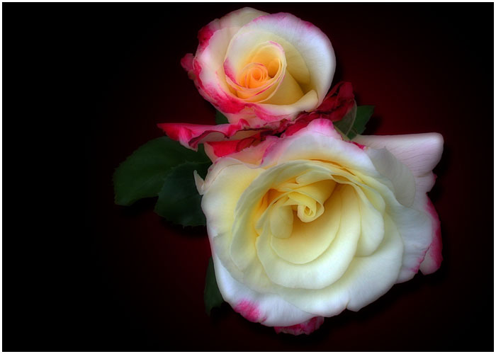 3623822_0_868ae_2976b30f_orig (700x500, 56Kb)