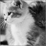 1330333892_84087417_2620530_11295700955ad01c28l (150x150, 23Kb)