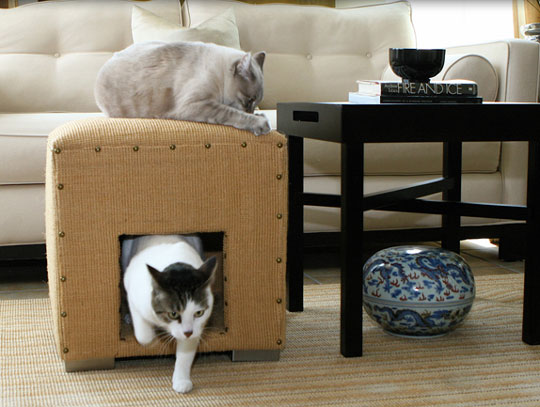 1330336879_64catcube1 (540x407, 50Kb)