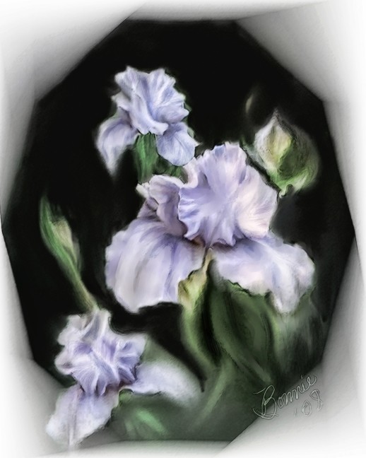 iriswatercolor (518x648, 60Kb)