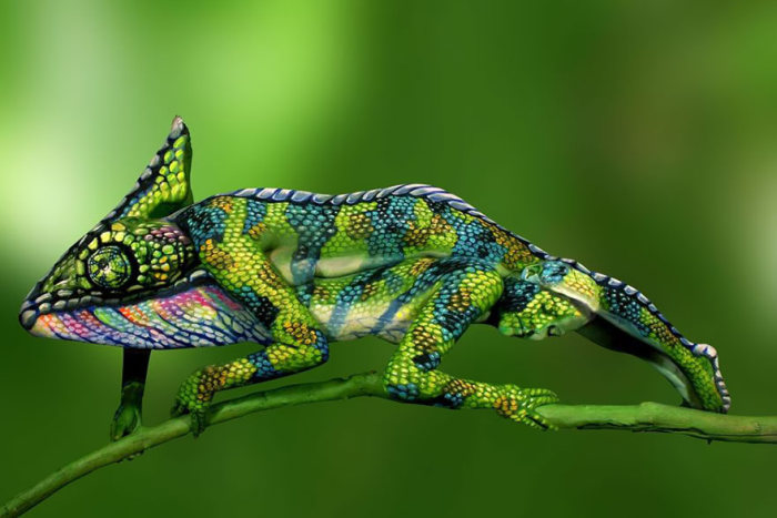 hameleona-fotografiya-dumaete-kreativy-graffiti-graffiti-na-stenah_5122981816 (700x467, 63Kb)