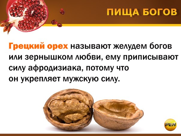 В костяном горшочке. Стих про грецкий орех. Стишок про грецкий орех. Цитаты про орехи. Смешные фразы про орехи.