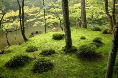 3885146_s05612917 (400x265, 29Kb)