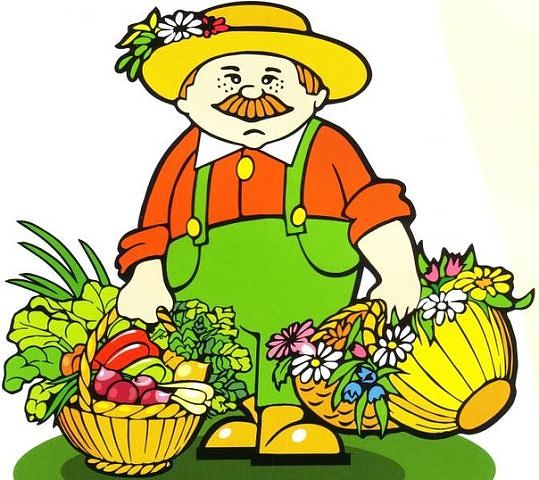 4924802_pamyatka_sadovody_ogorodniky_1_ (539x480, 59Kb)