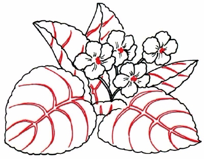 how-to-draw-flowers-and-plants-15 (400x313, 140Kb)