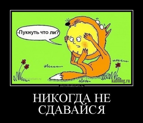   (480x413, 44Kb)