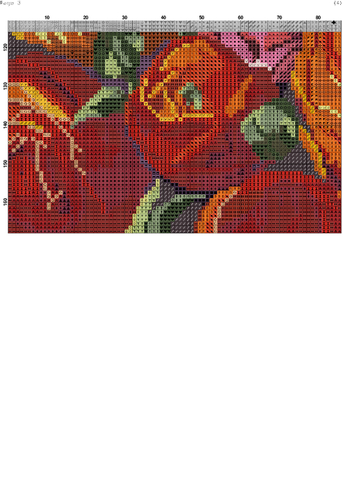 Ranunculus-003 (494x700, 331Kb)