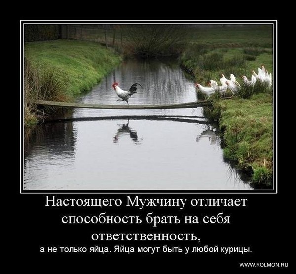     ))) (600x555, 74Kb)