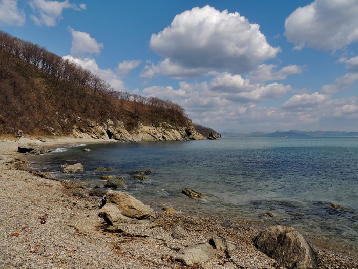 5559494_DSCN6790 (700x525, 310Kb)