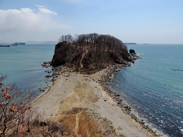 5559494_DSCN6985 (700x525, 293Kb)