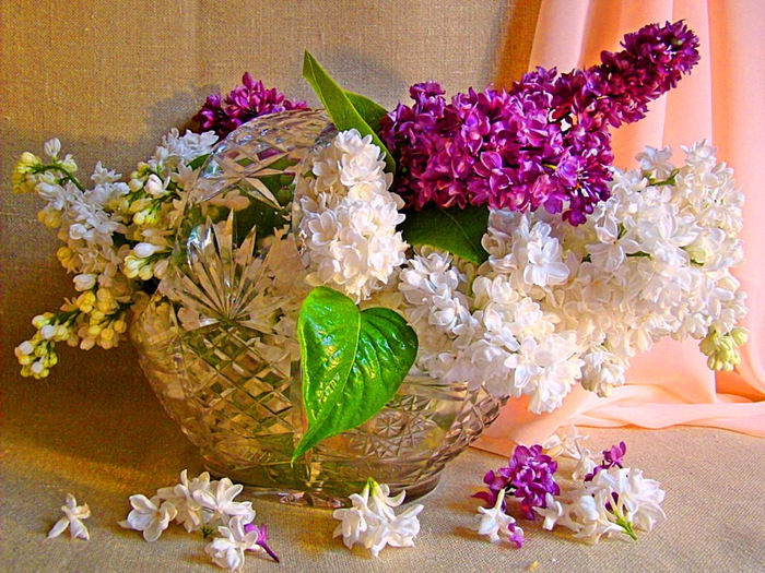 lilacs-and-crystal (700x525, 195Kb)