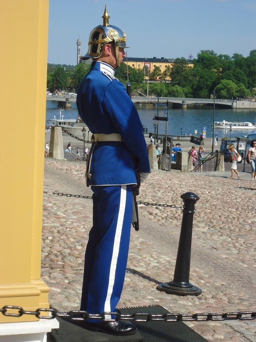 120273136_DSC07482 (525x700, 369Kb)