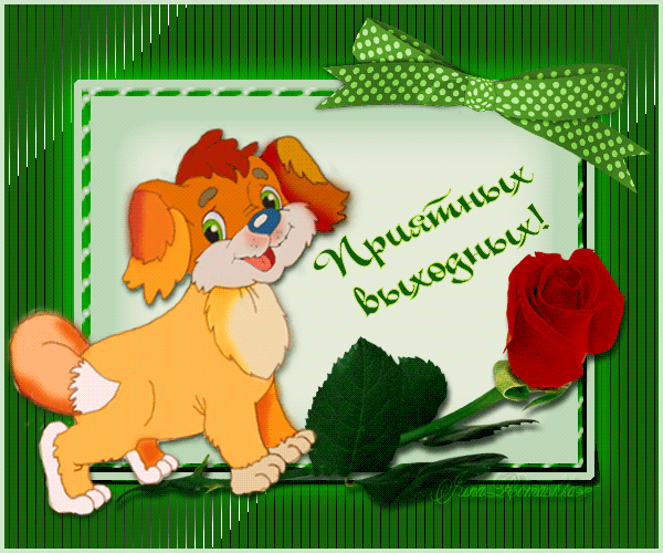   (600x500, 116Kb)