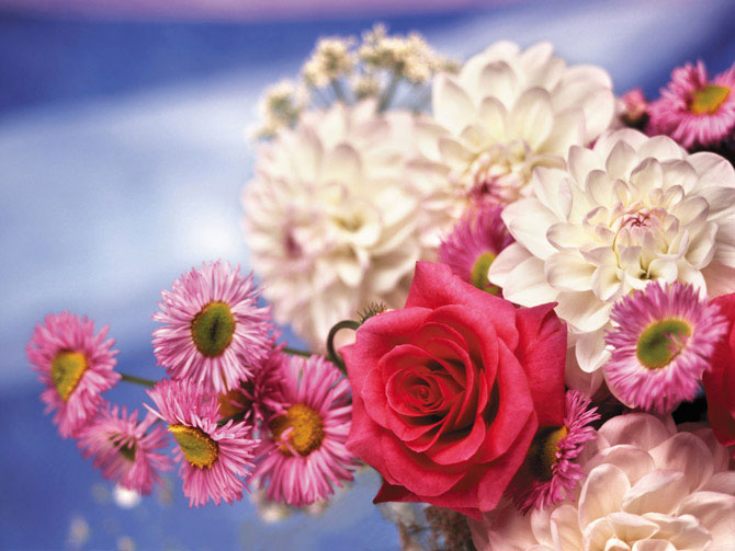 Выбирайте прекрасные цветы – дарите радость!