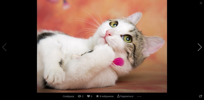 Яндекс.Фотки_20150428001847 (700x343, 95Kb)