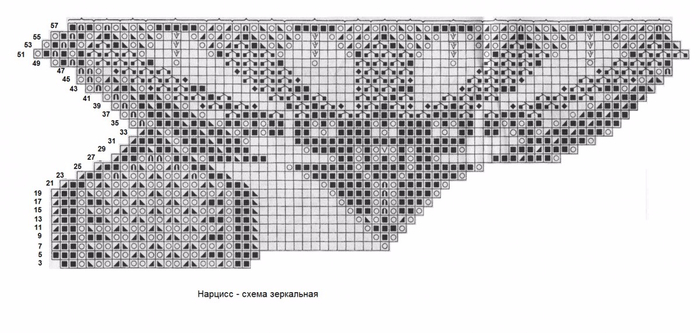 сх зеркальн нарцисс (700x333, 135Kb)