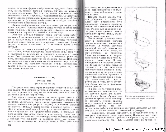 Uroki_risovaniya_s_naturi.page63 (700x555, 324Kb)