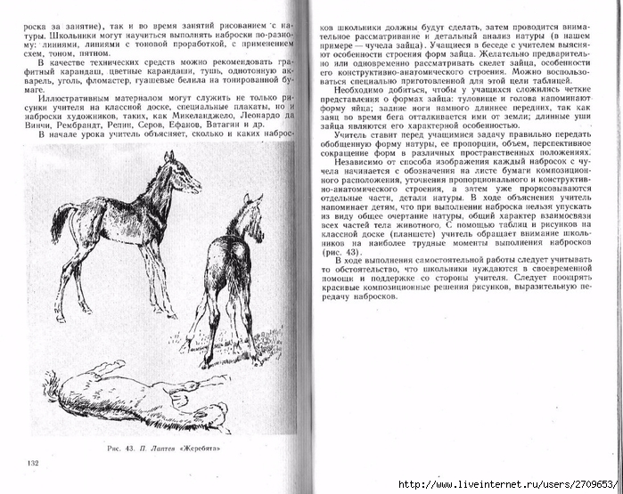 Uroki_risovaniya_s_naturi.page67 (700x555, 292Kb)