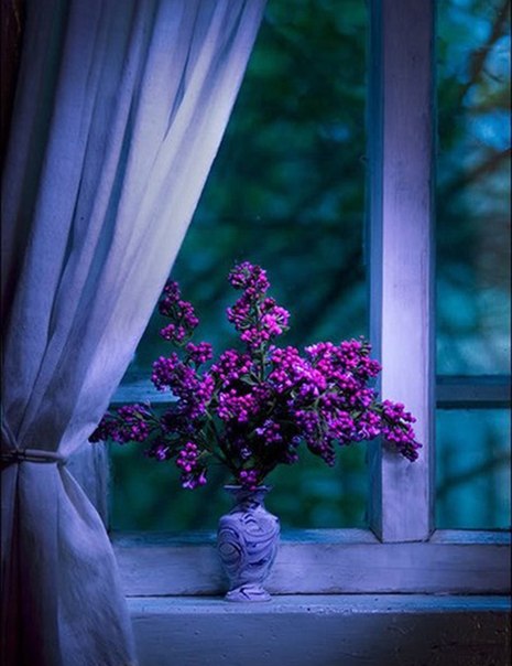 W9WtNCnHTnw (465x604, 54Kb)