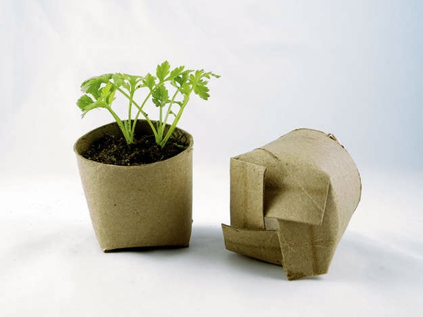 biodegradable-planters (600x450, 96Kb)